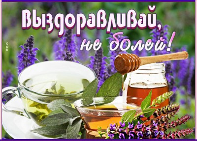 Открытка виртуальная картинка выздоравливай