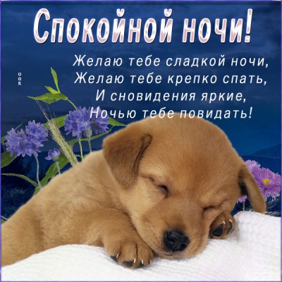 Открытка волшебная картинка спокойной ночи
