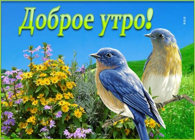 Картинка волшебная открытка доброе утро
