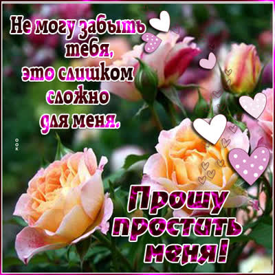 Postcard впечатляющая открытка прошу простить меня