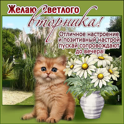 Picture впечатляющая открытка желаю светлого вторника