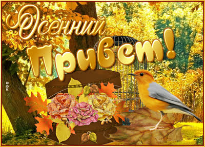 Picture хорошая открытка осенний привет