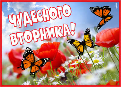 Picture яркая картинка чудесного вторника