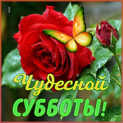 Picture яркая картинка чудесной субботы