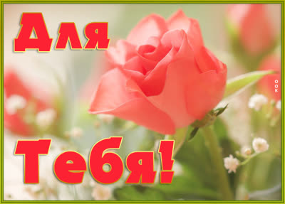Picture яркая картинка для тебя