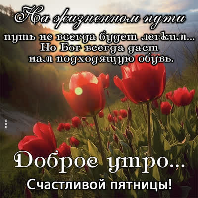 Postcard яркая картинка доброе утро