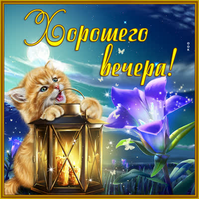 Picture яркая картинка добрый вечер с котиком