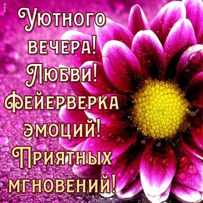 Картинка яркая картинка добрый вечер