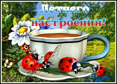 Картинка яркая картинка хорошего настроения на весь день