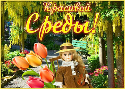 Picture яркая картинка красивой среды