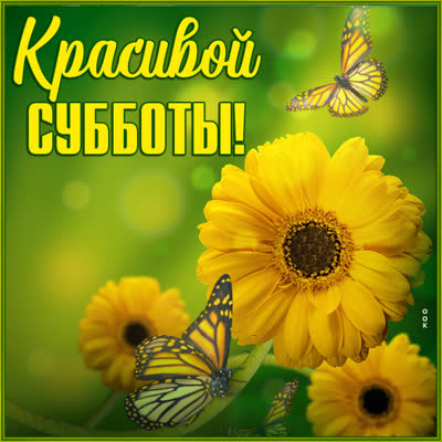 Picture яркая картинка красивой субботы