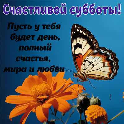 Picture яркая картинка мира и любви
