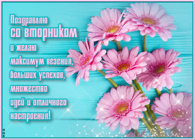 Postcard яркая картинка поздравляю со вторником