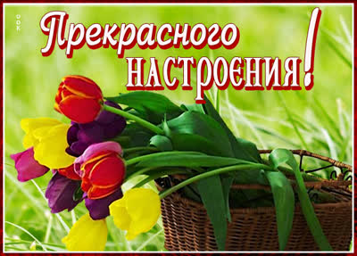 Postcard яркая картинка прекрасного настроения