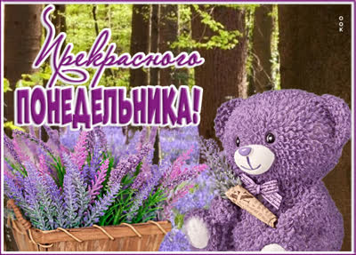 Picture яркая картинка прекрасного понедельника
