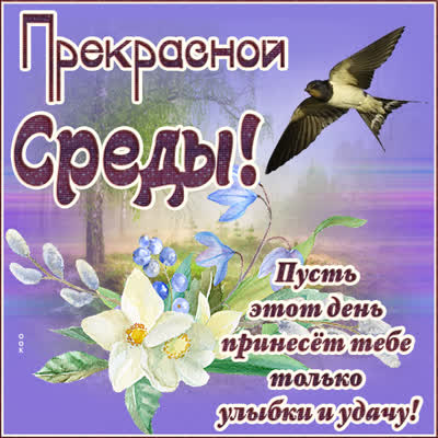 Picture яркая картинка прекрасной среды