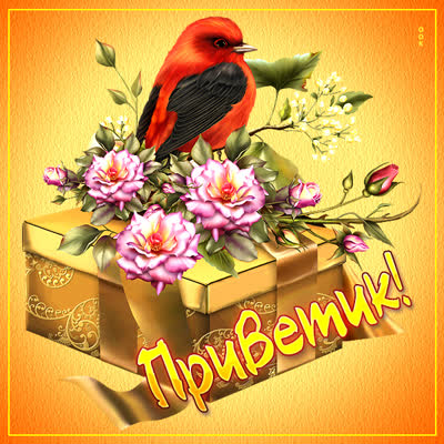 Picture яркая картинка привет