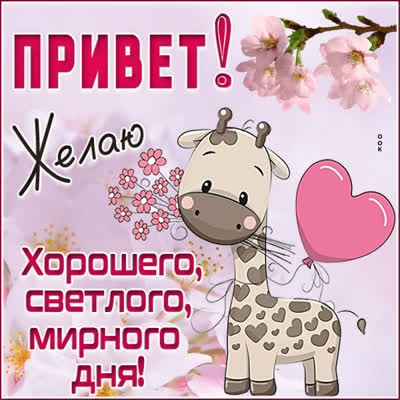 Picture яркая картинка привет