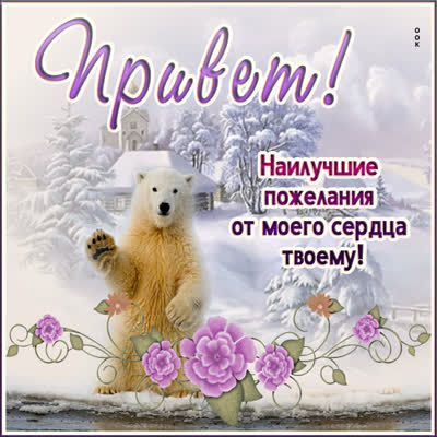 Picture яркая картинка привет