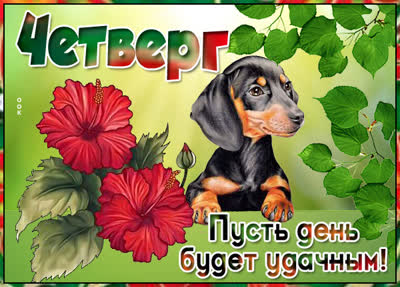 Picture яркая картинка пусть день будет удачным