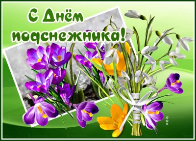Открытка яркая картинка с днём подснежника