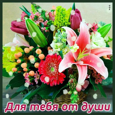 Открытка яркая картинка с лилией
