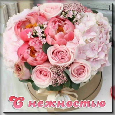 Открытка яркая картинка с пионом
