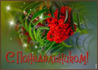 Postcard яркая картинка с понедельником