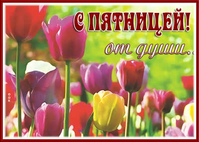 Postcard яркая картинка с пятницей от души