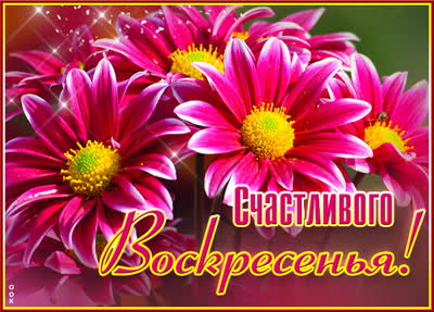 Postcard яркая картинка счастливого воскресенья