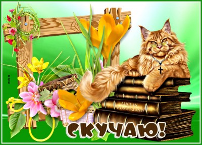 Открытка яркая картинка скучаю с котом