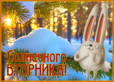 Postcard яркая картинка солнечного вторника