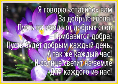Picture яркая картинка спасибо