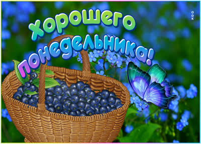 Picture яркая картинка хорошего понедельника