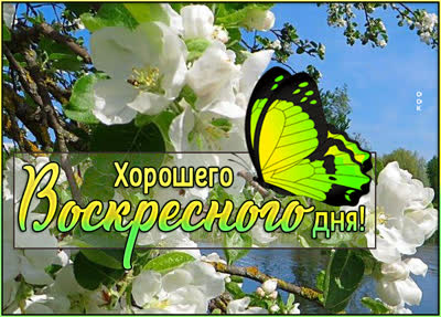 Postcard яркая картинка хорошего воскресного дня