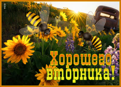 Postcard яркая картинка хорошего вторника