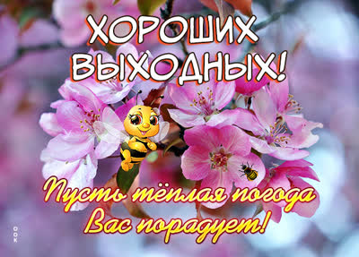Picture яркая картинка хороших выходных