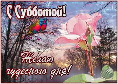 Postcard яркая картинка желаю чудесного дня
