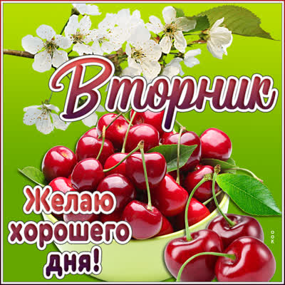 Postcard яркая картинка желаю хорошего дня