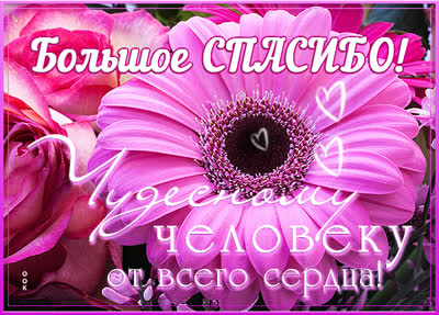 Picture яркая открытка большое спасибо
