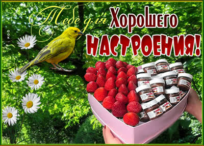 Picture яркая открытка для хорошего настроения