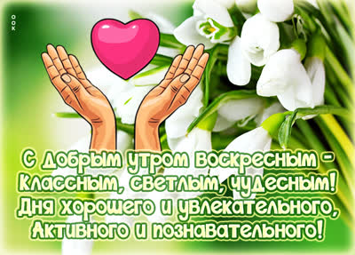 Picture яркая открытка дня хорошего и познавательного