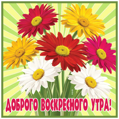 Picture яркая открытка доброго воскресного утра