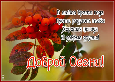 Postcard яркая открытка доброй осени
