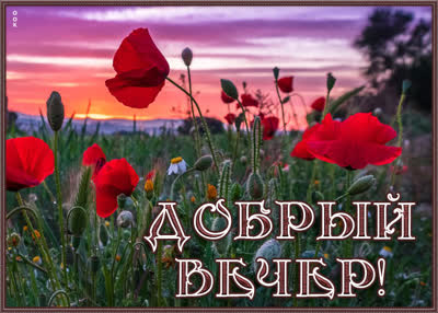 Picture яркая открытка добрый вечер
