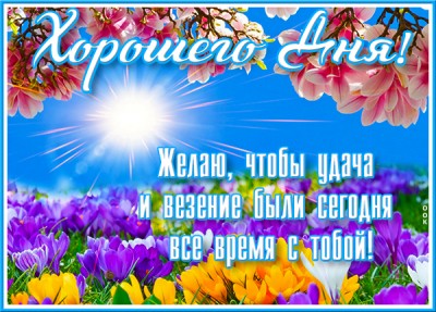 Картинка яркая открытка хорошего дня
