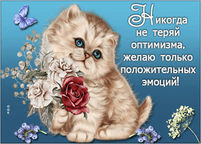 Picture яркая открытка никогда не теряй оптимизма