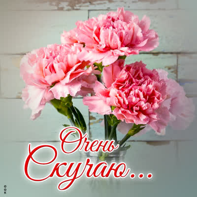 Postcard яркая открытка очень скучаю
