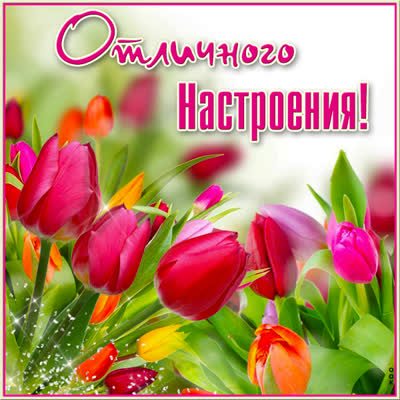 Postcard яркая открытка отличного настроения