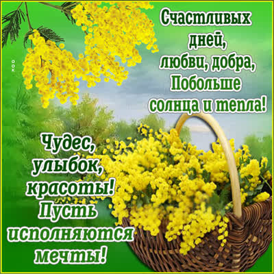 Postcard яркая открытка побольше солнца и тепла